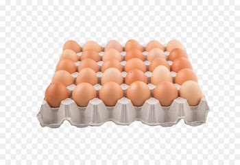Chicken Paper Egg carton Fruit - Paddle egg tray 