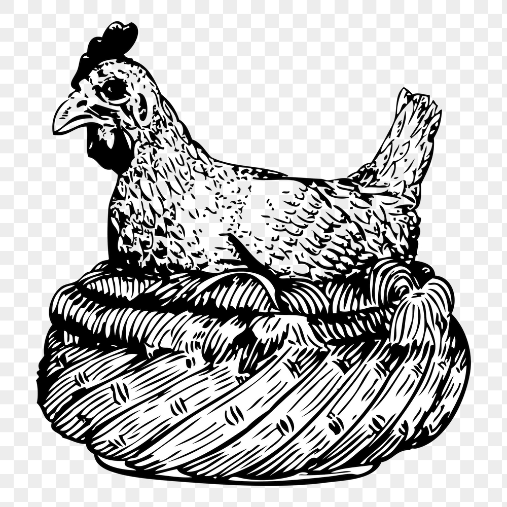 Chicken png sticker, vintage animal | Free PNG - rawpixel