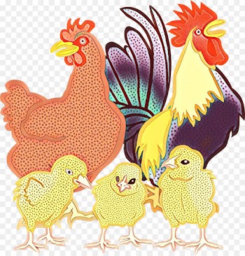 chicken rooster bird fowl comb