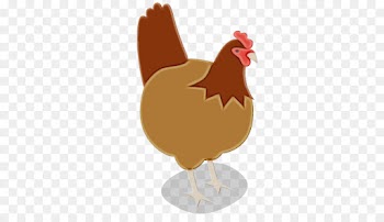 chicken rooster bird livestock comb
