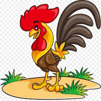 Chicken Rooster Cartoon Illustration - Vector cartoon chicken 