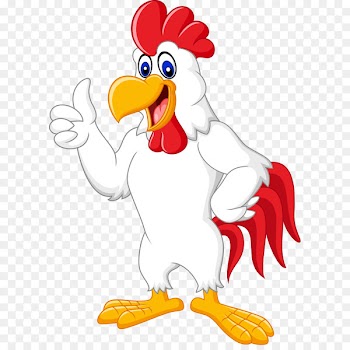 Chicken Rooster Cartoon Illustration - Vector white cock 