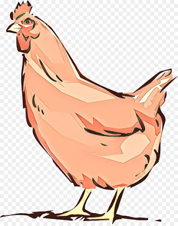 chicken rooster clip art bird cartoon
