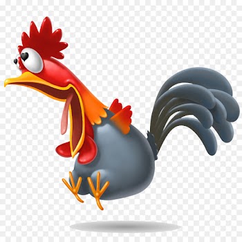 Chicken Rooster - See the little hen rooster vector 