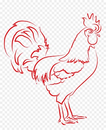 Chicken Rooster Vector graphics Painting Chinese New Year - art work 