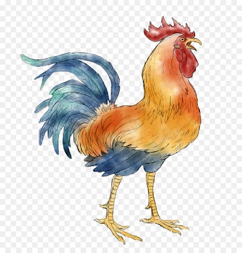 Chicken Rooster Wu Xing Fire Chinese New Year - rooster 