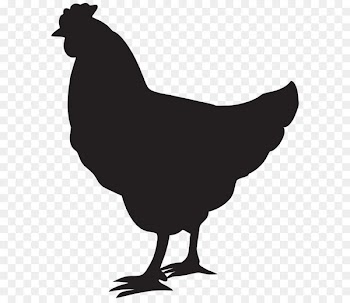 Chicken Silhouette Rooster Clip art - Hen Silhouette PNG Clip Art Image 