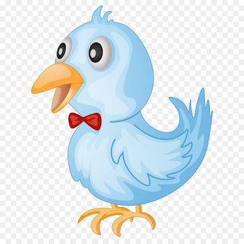 Chicken Vector graphics Illustration Cartoon Royalty-free - for old chicks 