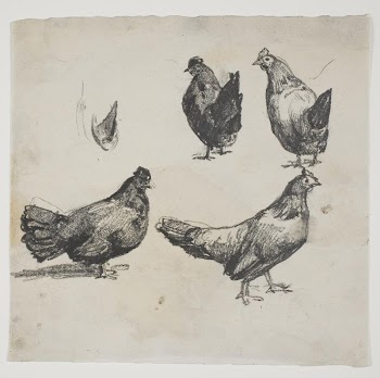 Chickens | Free Photo - rawpixel