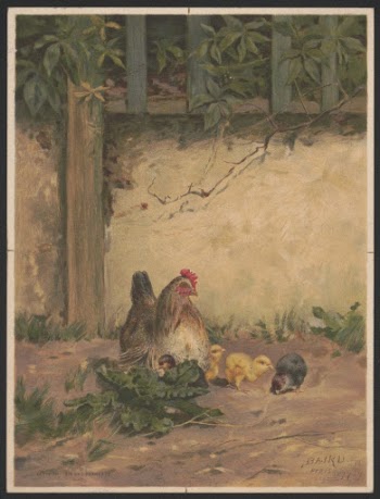 Chickens no. 2  Baird | Free Photo - rawpixel