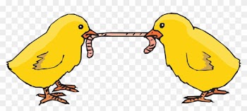 Chicks, Worm, Eating, Feeding, Poultry - Animals Fighting For Food Cartoon