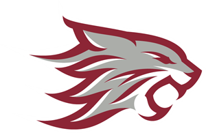 Chico State Wildcats Logo Vector
