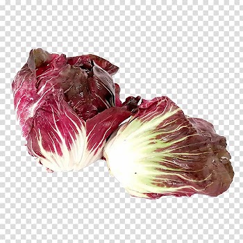 Chicory Cabbage Vegetable Kale Pao cai, Cabbage leaves transparent background PNG clipart