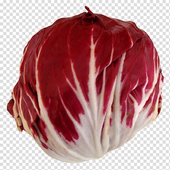 Chicory Vegetable Ham, Radicchio transparent background PNG clipart