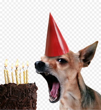 Chihuahua Birthday cake Puppy Happy Birthday to You - Cake puppy 