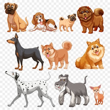 Chihuahua Dalmatian dog Pug Clip art - Vector dog 