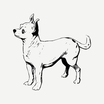 Chihuahua dog clipart, vintage animal | Free PSD Illustration - rawpixel