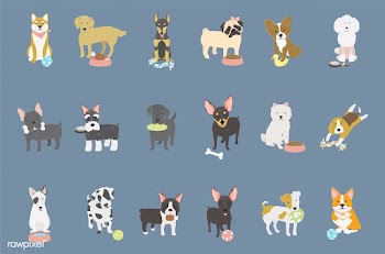 Chihuahua dog pet | Free stock vector - 60503