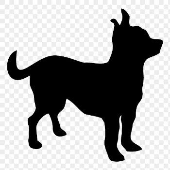 Chihuahua dog png sticker animal | Free PNG - rawpixel