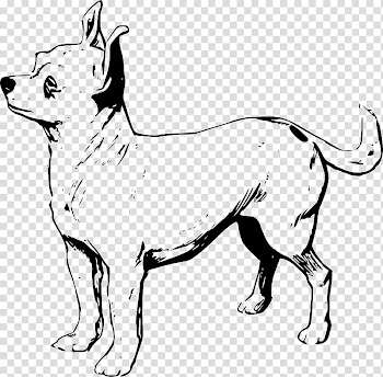 Chihuahua Puppy Line art , chihuahua transparent background PNG clipart