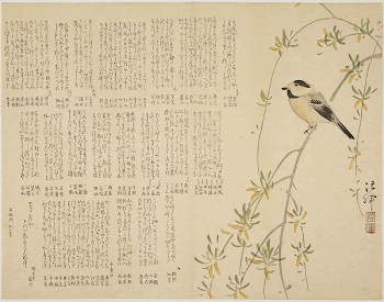 Chikadee on a Willow BranchOriginal | Free Photo - rawpixel