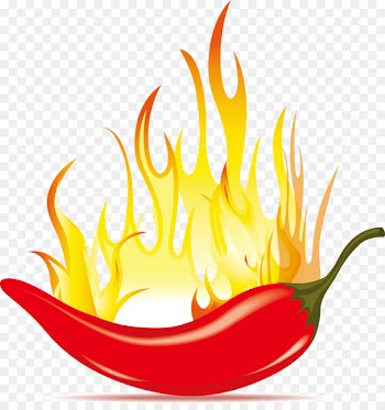 Chili con carne Chili pepper Clip art - Vector Pepper 