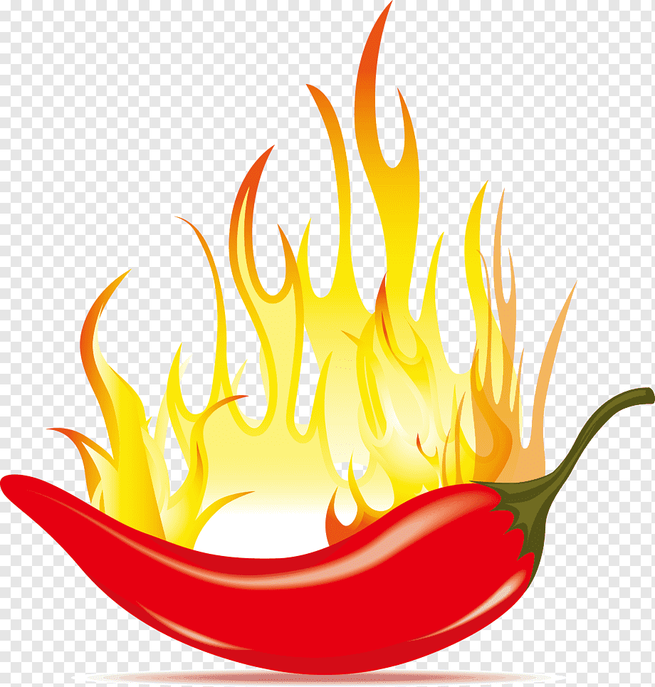 Chili con carne Chili pepper, Pepper, food, computer Wallpaper, happy Birthday Vector Images png