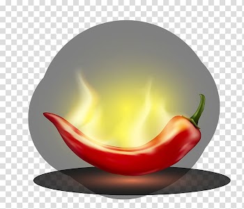 Chili pepper Bell pepper Vegetable Fruit Paprika, Hot pepper transparent background PNG clipart