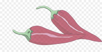 chili pepper bell peppers and chili peppers vegetable plant jalapeño