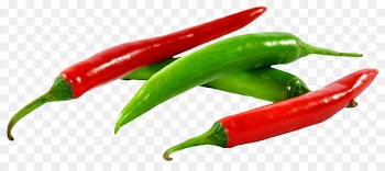 Chili pepper Capsicum Mandi Jalapexf1o Taco - Green and Red Chilli 