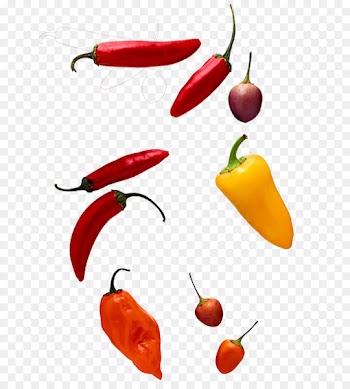 Chili pepper Computer file - Sichuan pepper variety of chilli peppers chili peppers 