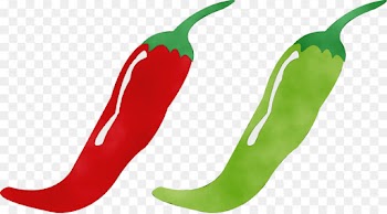 chili pepper malagueta pepper tabasco pepper serrano pepper bell peppers and chili peppers