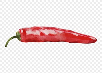 Chili png clipart, vegetable drawing | Free PNG - rawpixel