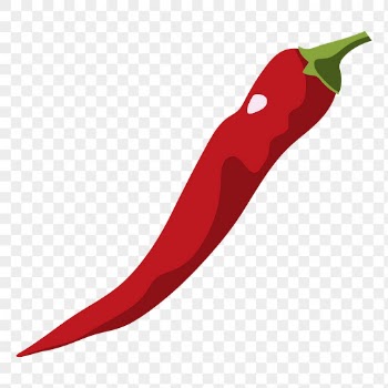 Chili png sticker, realistic illustration, | Free PNG - rawpixel