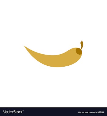 Chilli pepper vector image