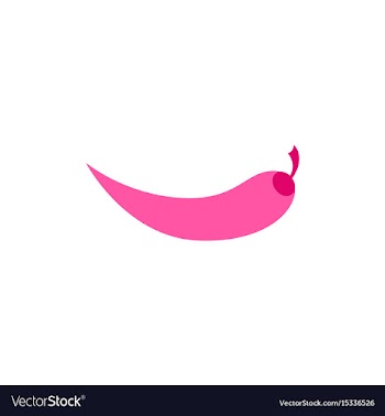 Chilli pepper vector image