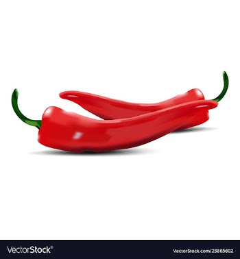 Chilli vector image