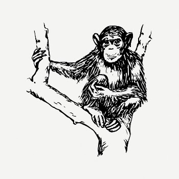 Chimpanzee monkey clipart, vintage animal | Free PSD Illustration - rawpixel