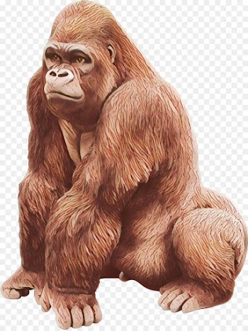Chimpanzee, Western Gorilla, Orangutan, Vertebrate, Mammal PNG