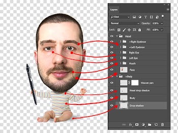 Chin Adobe Character Animator Eyebrow Animation Face, Animation transparent background PNG clipart