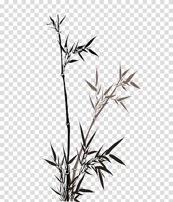 China Bamboo Wall Mural , Bamboo leaves transparent background PNG clipart