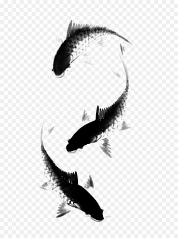 China Carp Ink wash painting Brush - fish 