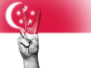 China Flag-themed Painted Hand in Peace-sign Gesture