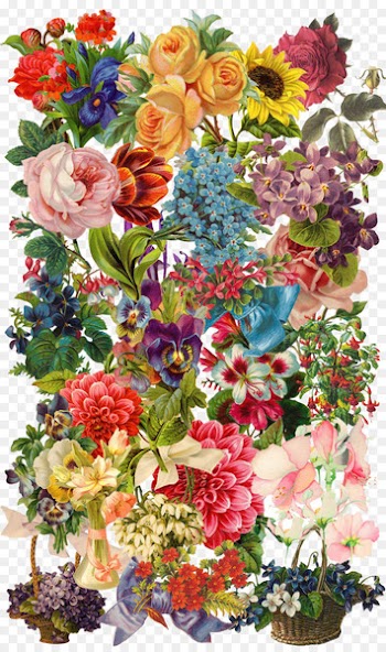China Floral design Flower Illustration - Flower Collection 