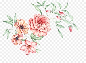 China Floral design Moutan peony - Hand-painted Chinese peony 