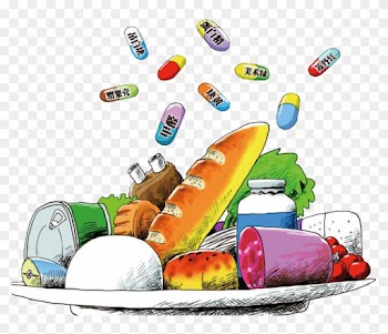 China Food Safety Health Food Science - Food Safety