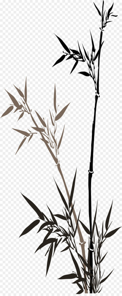 China Ink wash painting Bamboo - Chinese bamboo ink material in spring 