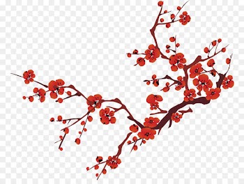 China Lunar New Year Chinese New Year - Plum flower 