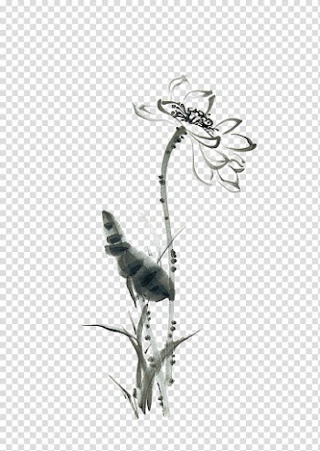 China Nelumbo nucifera Ink wash painting Paper, Hand painted watercolor lotus decoration transparent background PNG clipart