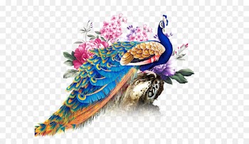 China Paper Peafowl - China Wind Peacock 